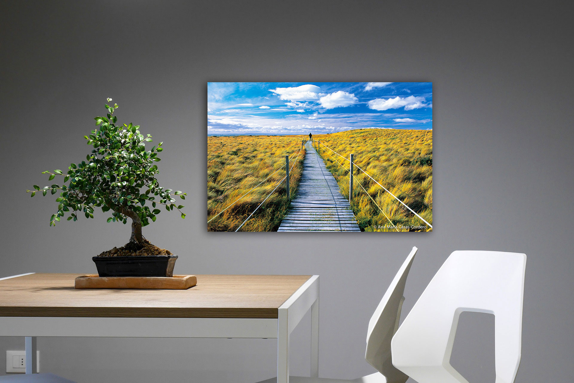 Inicio 30 Fotografías de paisajes para embellecer y dar sentido a tu hogar