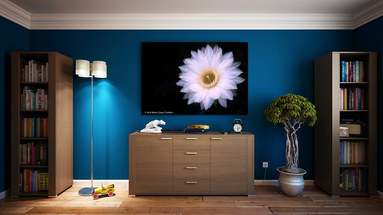 Inicio 33 04 Landscape photography Tienda