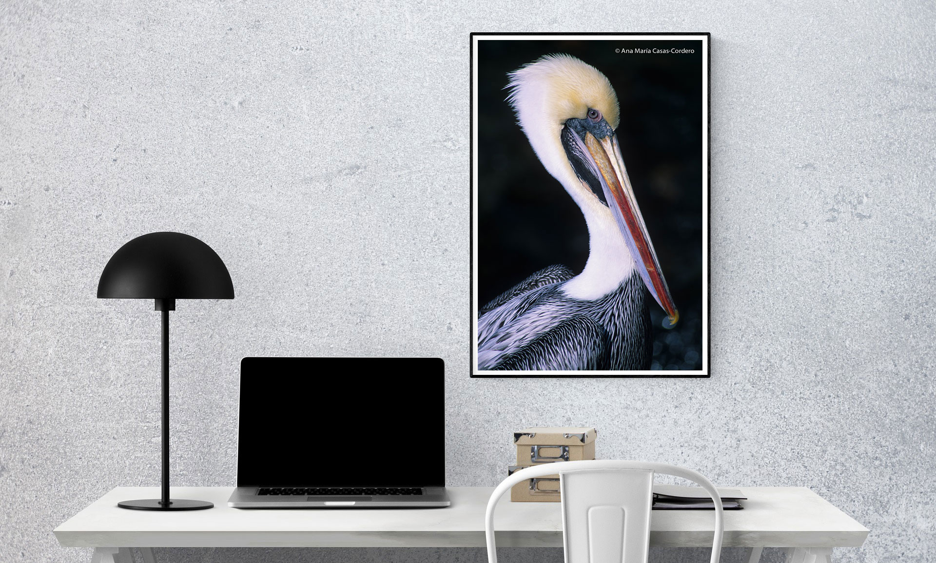 Inicio 35 06 Landscape photography Tienda