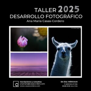 TALLER <br>"DESARROLLO FOTOGRÁFICO" <br>JULIO 2025