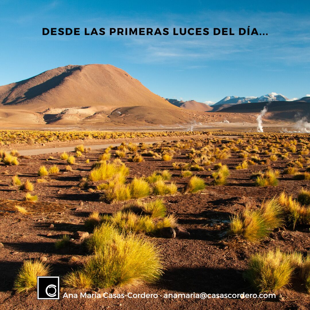 Inicio 10 2 2 2